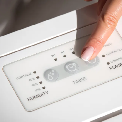 How Does a Dehumidifier Help with Dampness