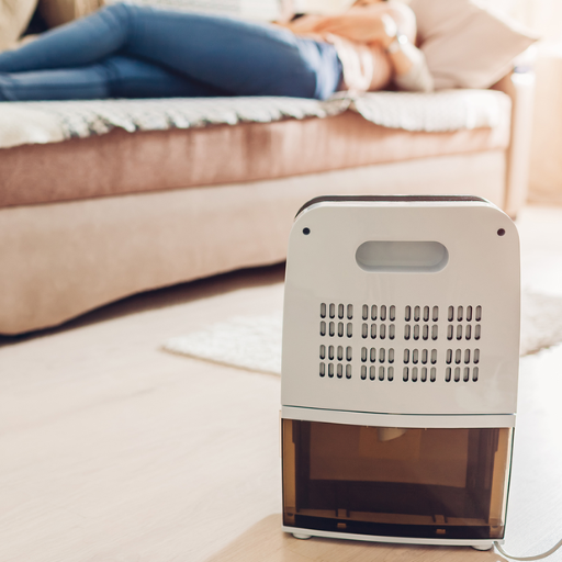 How to Choose the Best Dehumidifier for Your Needs