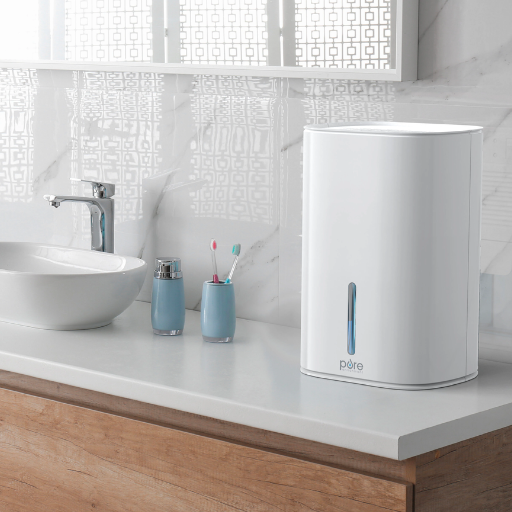 Can a Dehumidifier for Bathroom Prevent Mold