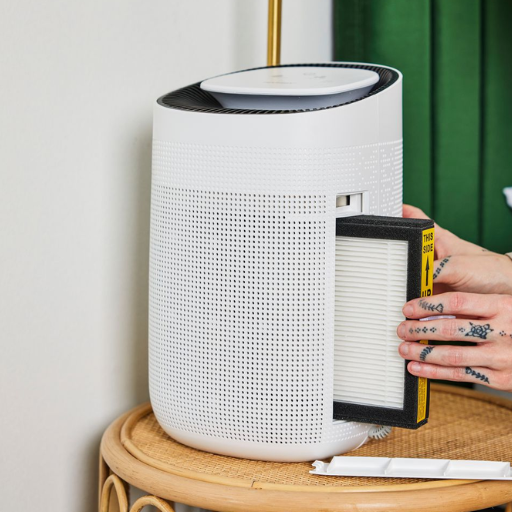 What to Consider When Choosing a Bathroom Dehumidifier