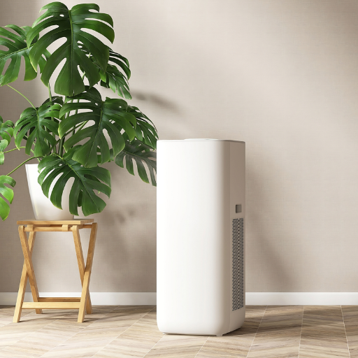 Is Dehumidifier Water Safe for Indoor and Outdoor Plants