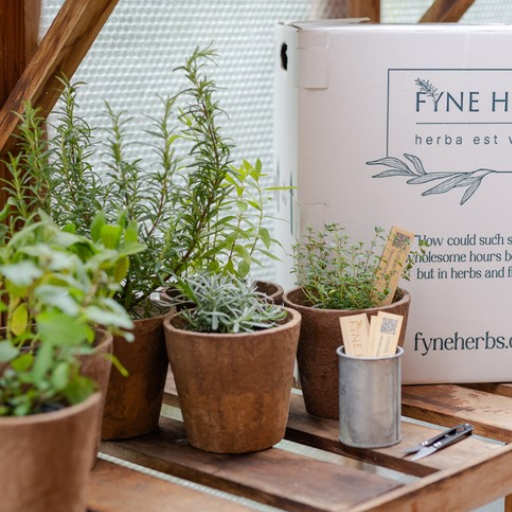 How to Use Dehumidifier Water for Watering Your Plants