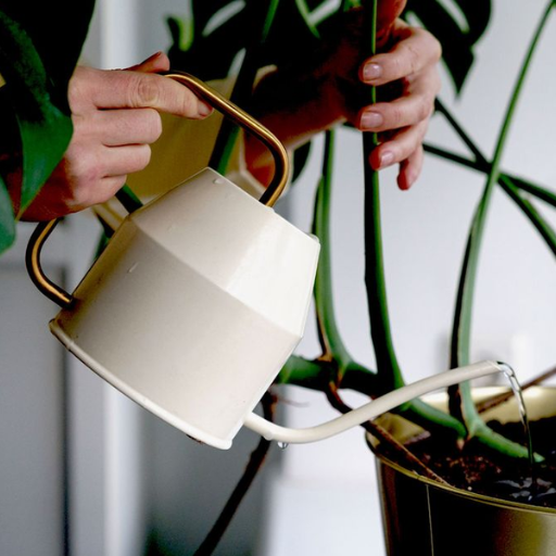 What is Dehumidifier Water and How is it Collected