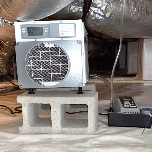 What Are the Key Cost Factors for a Crawl Space Dehumidifier