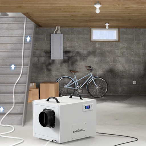 How to Choose the Best Crawl Space Dehumidifier for Your Home