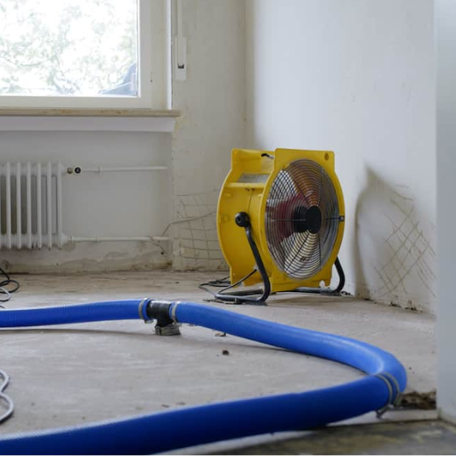 Why Do You Need a Dehumidifier for Water Damage