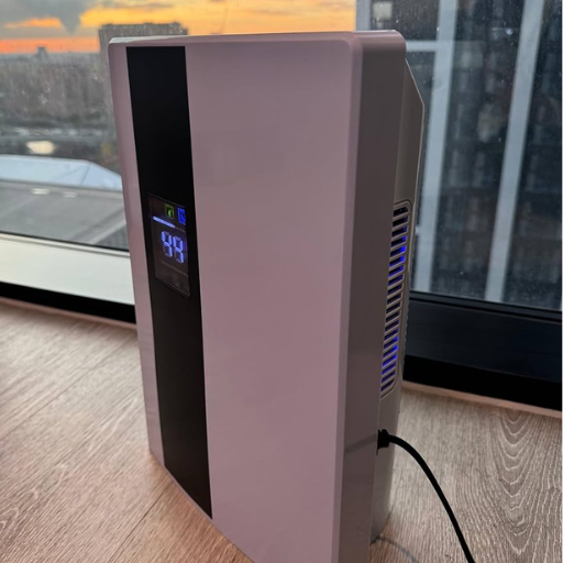 Do You Need A Dehumidifier For Asthma And Allergies