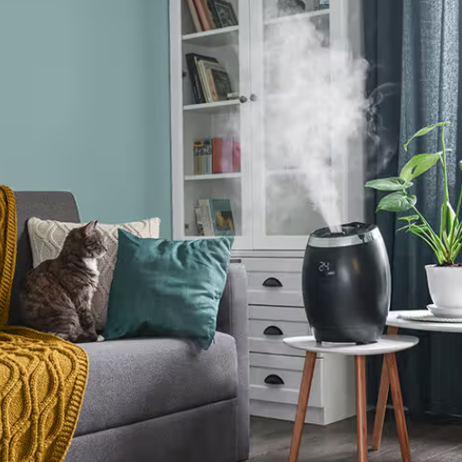 Dehumidifier Or Humidifier: Which Helps With Allergies