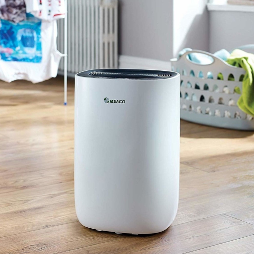 Can a Dehumidifier Help in Basement Odor Control
