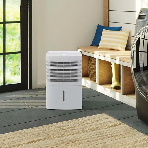 What are the Benefits of Using a Dehumidifier for Odor Removal
