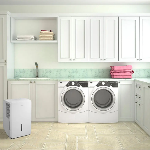 Are There Any Alternatives to a Dehumidifier for Musty Odor Removal