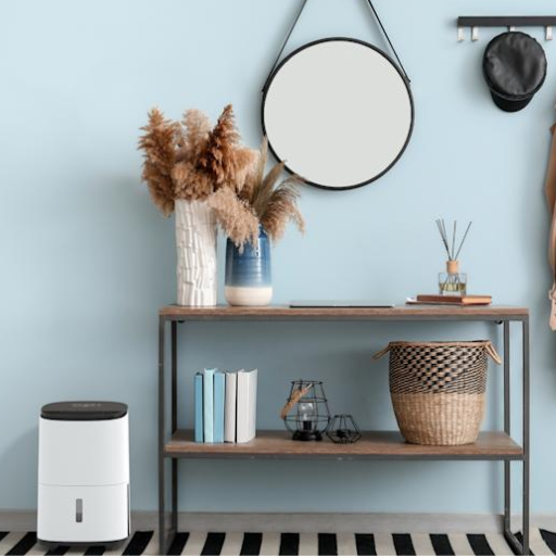 What Are the Optimal Humidity Levels for Your Home