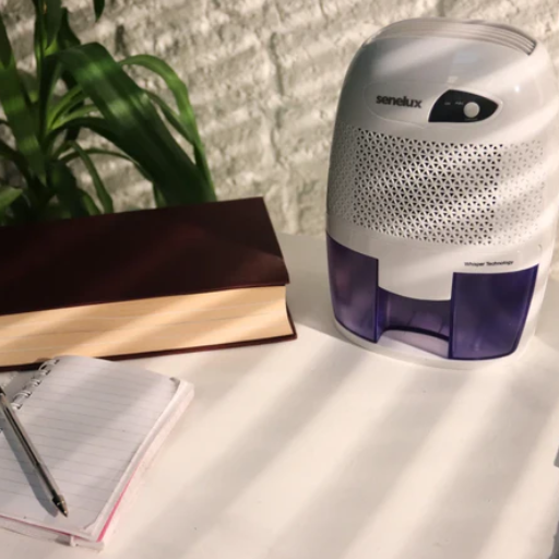 Can a Dehumidifier Help with Respiratory Issues and Allergies