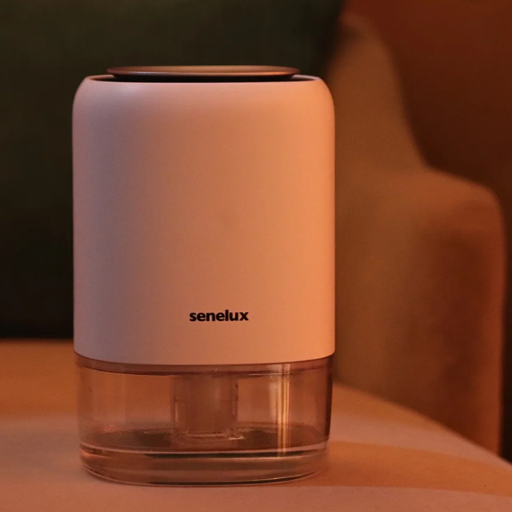 Will a Dehumidifier Prevent Mold, Mildew, and Musty Odors