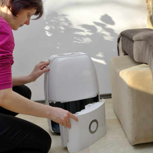 How Can a Dehumidifier Help Prevent Pest Infestations