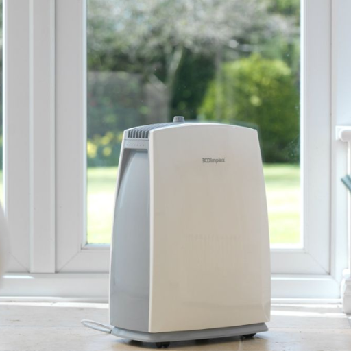 What Other Benefits Do Dehumidifiers Provide Beyond Health