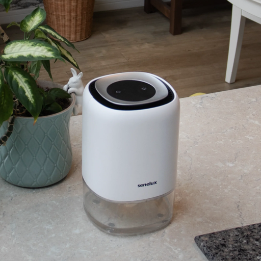 How Does a Dehumidifier Work to Improve Your Health