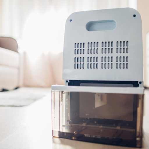 What are the Signs You Need a Dehumidifier