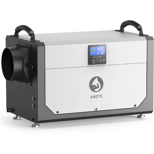 What Are the Potential Consequences of Not Using a Dehumidifier