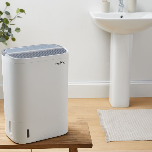 How to Maintain Your Bathroom Dehumidifier?