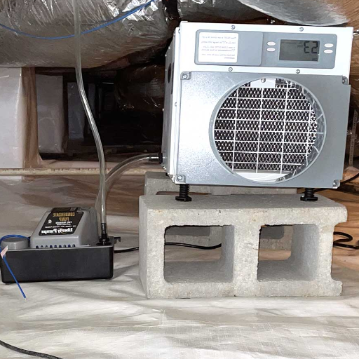 What is a crawl space dehumidifier and why do you need one?