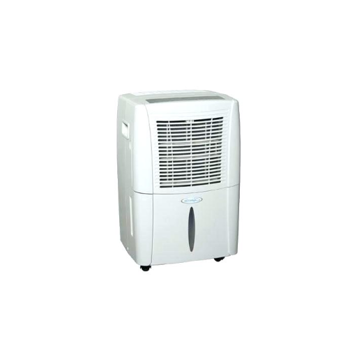 What to Consider When Buying a Small Dehumidifier?