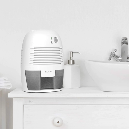 What Are the Maintenance Tips for a Dehumidifier for Home