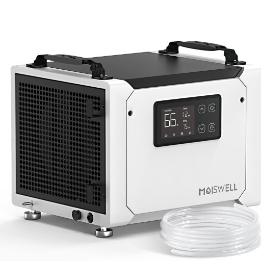 Is Encapsulation Necessary Before Installing a Dehumidifier