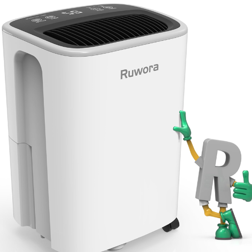 How Does a Basement or Crawl Space Dehumidifier Benefit Your Home
