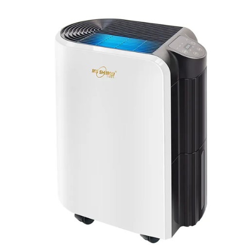 What is the Typical Cost to Install a Whole-House Dehumidifier