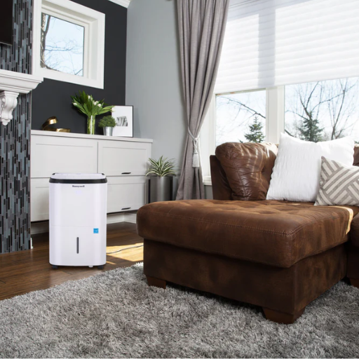 How to Choose the Best Crawl Space Dehumidifier for Your Needs