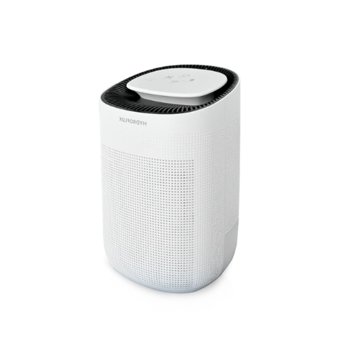 Air Purifier vs Dehumidifier: Which is More Effective for Allergies?