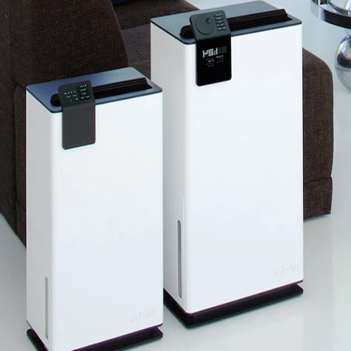 Choosing the Right Dehumidifier