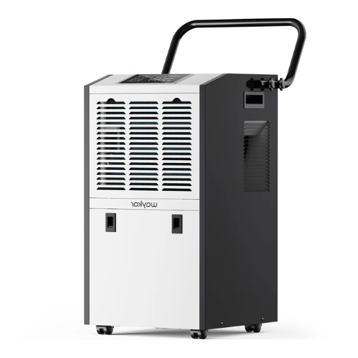 How to Choose the Best Industrial Dehumidifier for Your Space