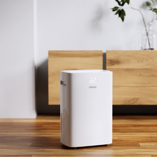 How to Choose the Right Dehumidifier for Your Needs?