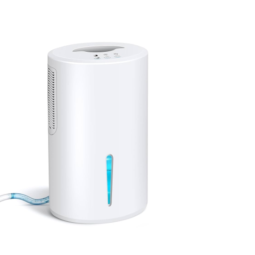 Introduction to Bathroom Humidity