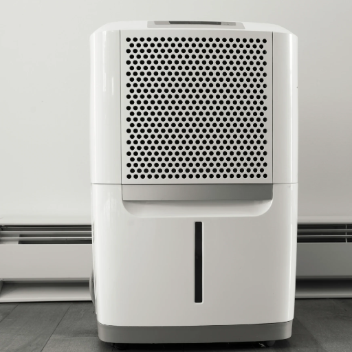 Understanding the Role of a Dehumidifier