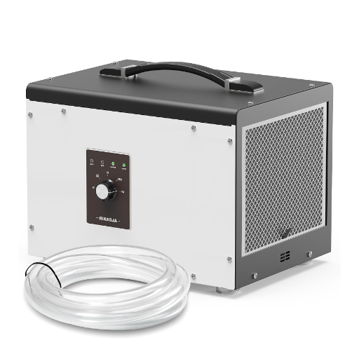 Choosing the Right Crawl Space Dehumidifier
