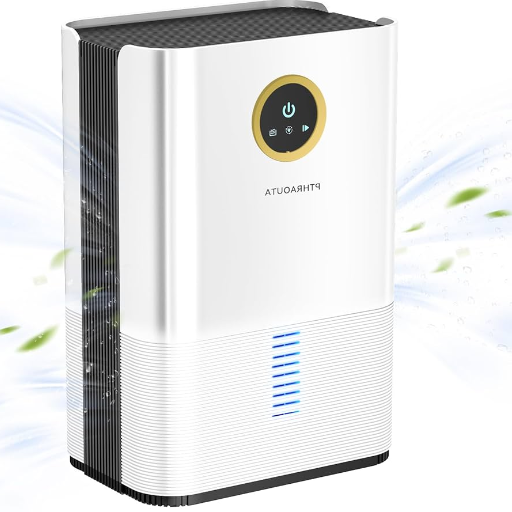 Choosing the Right Portable Bathroom Dehumidifier