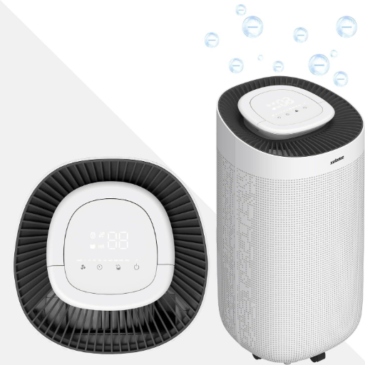 Factors Influencing Dehumidifier Settings