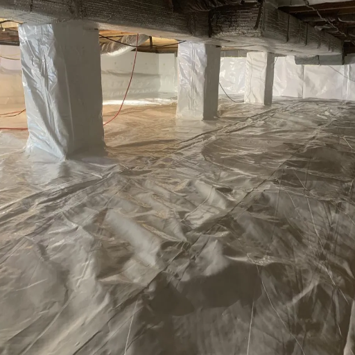 Identifying Moisture Problems in Your Crawl Space