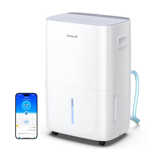Maintenance Tips for Your Dehumidifier
