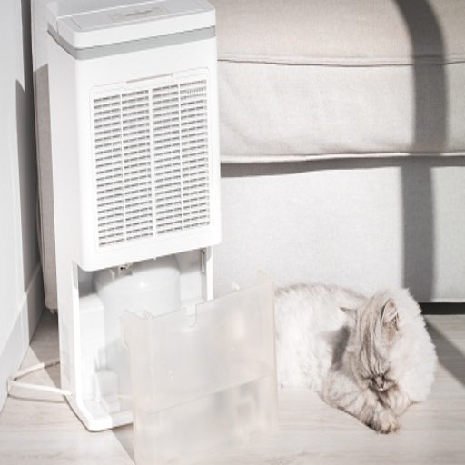Troubleshooting Tips to Fix a Dehumidifier