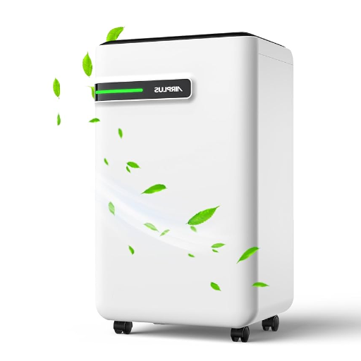 What is a Dehumidifier and How Does It Function?