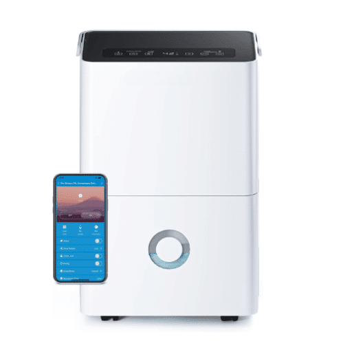 Introduction to Dehumidifiers