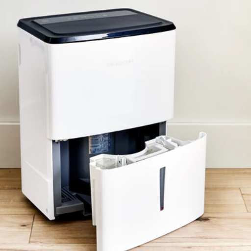 Can a Dehumidifier Help with Mold Prevention?