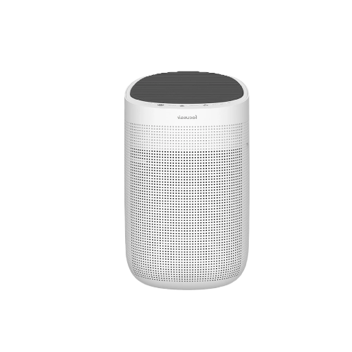 Dehumidifier vs Air Purifier: A Comparison