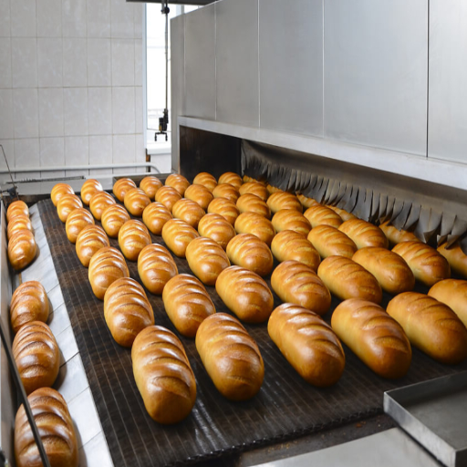Food Processing Dehumidification: Moisture Control in the Food Industry