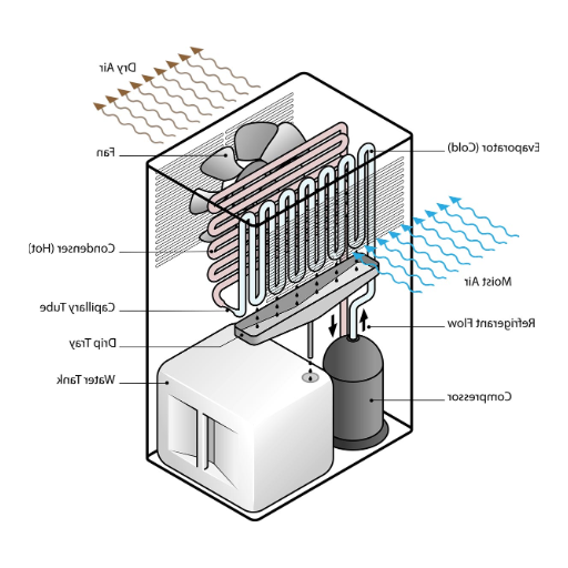 How Dehumidifiers Work