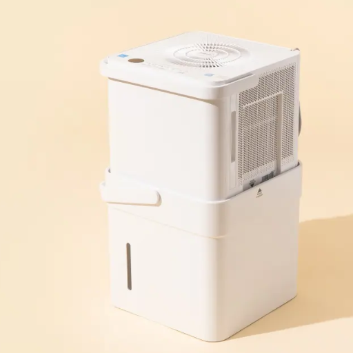 Long-Term Solutions for Preventing Musty Smells